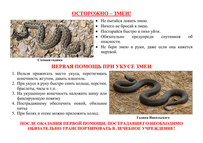 foto 2025 05 13 16 16 003