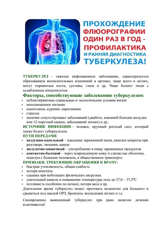 foto 2025 06 05 13 41 003