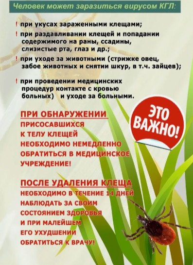 foto 2025 08 01 10 28 003